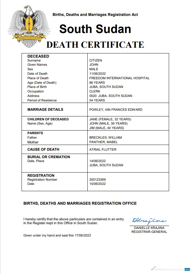 Download South Sudan vital record death certificate Word and PDF template Photoshop template